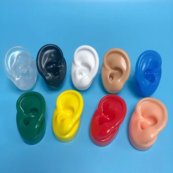  puha szilikon fülmodell hallókészülékhez 1: 1 Emberi fül modell szimulációs kijelző kellékek Oktatási eszközök Ékszer kijelző fülbevaló