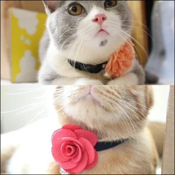 [MPK Store] Krizantém macska nyakörv, nyakörv kedvtelésből tartott macskának, virág kisállat nyakörv klippel
