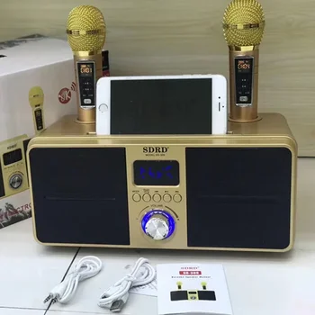 SD309 Családi kültéri karaoke rendszer Forró kettős mikrofon Bluetooth mikrofon hangszóró mobil sztereó 30W SDRD vezeték nélküli készlet Caixa de som